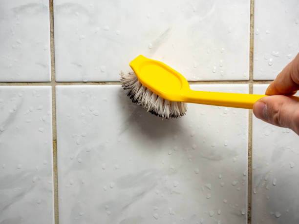 Best Commercial Mold Removal  in Newberry, SC
