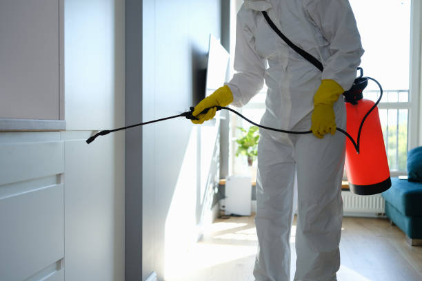 Best Office Mold Removal Services  in Newberry, SC