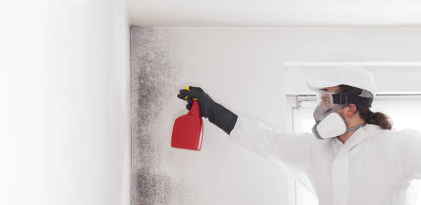Best Local Mold Removal Service  in Newberry, SC
