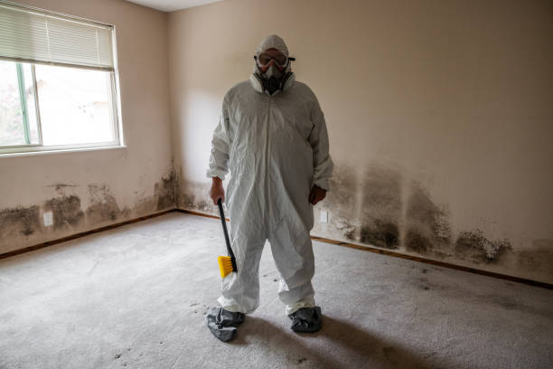 Best Residential Mold Removal  in Newberry, SC